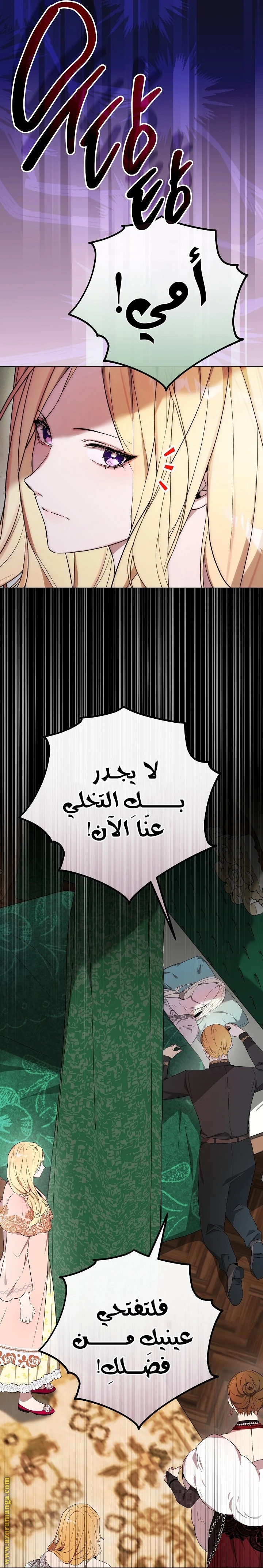 الصفحة 27