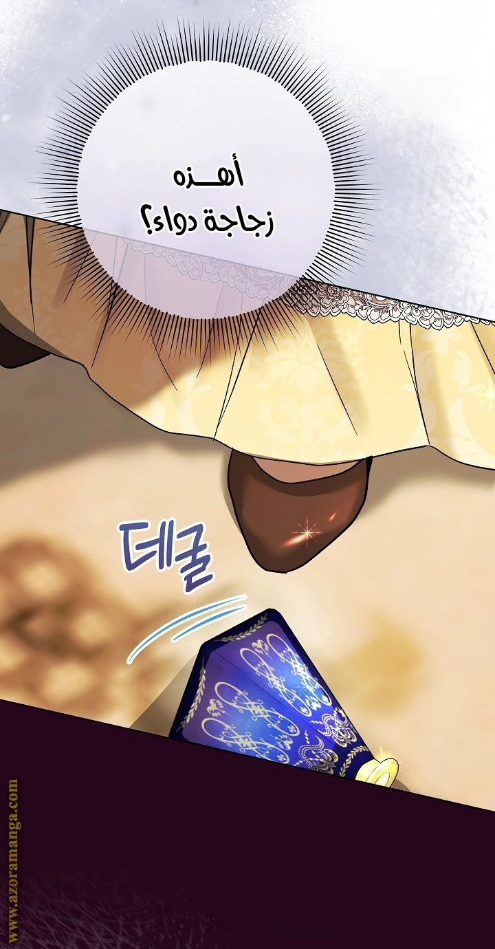 الصفحة 29