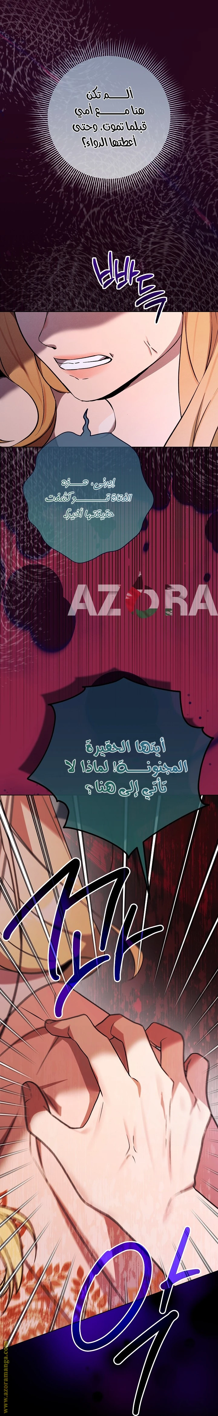 الصفحة 30