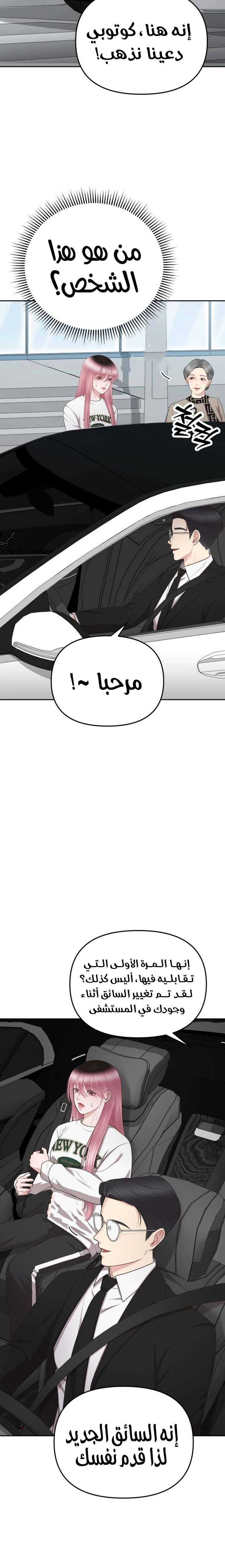 الصفحة 12