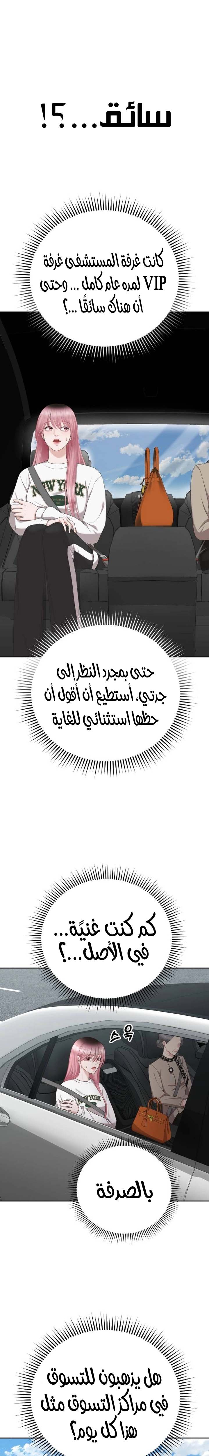 الصفحة 13