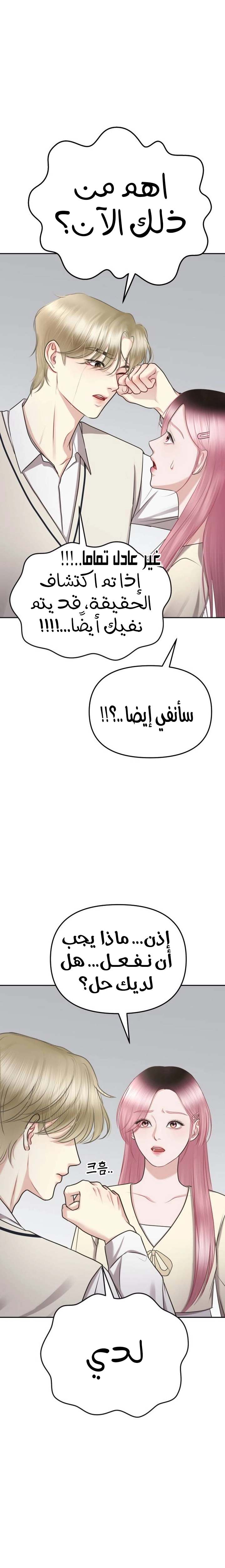الصفحة 29
