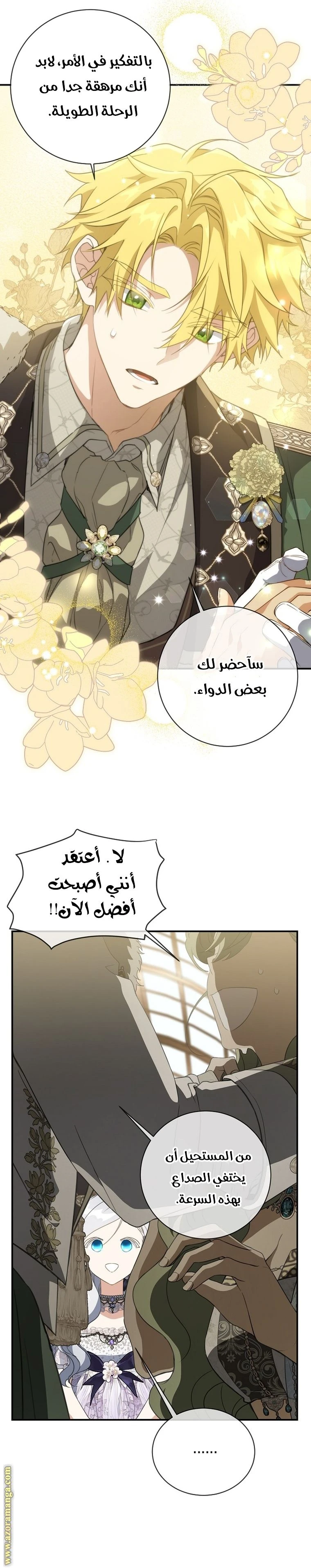 الصفحة 31