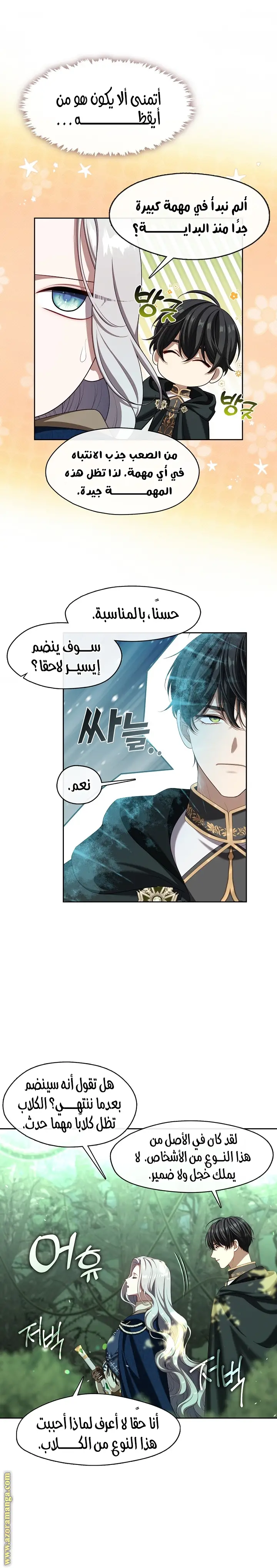 الصفحة 12