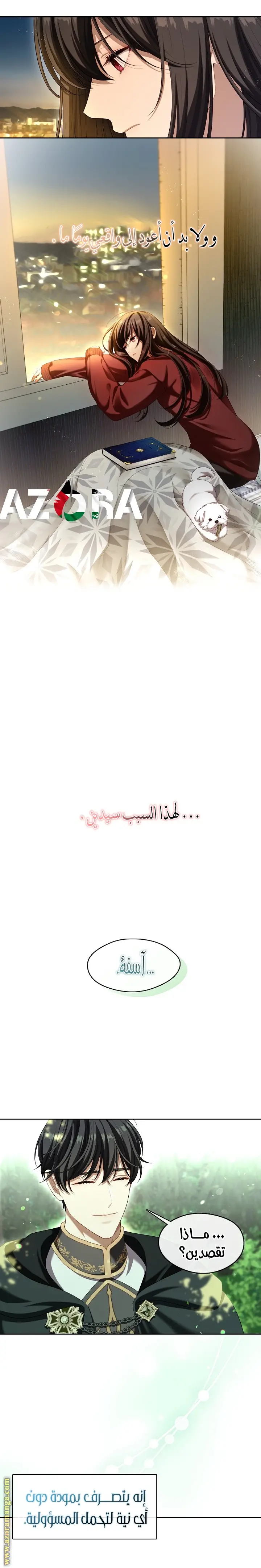 الصفحة 17