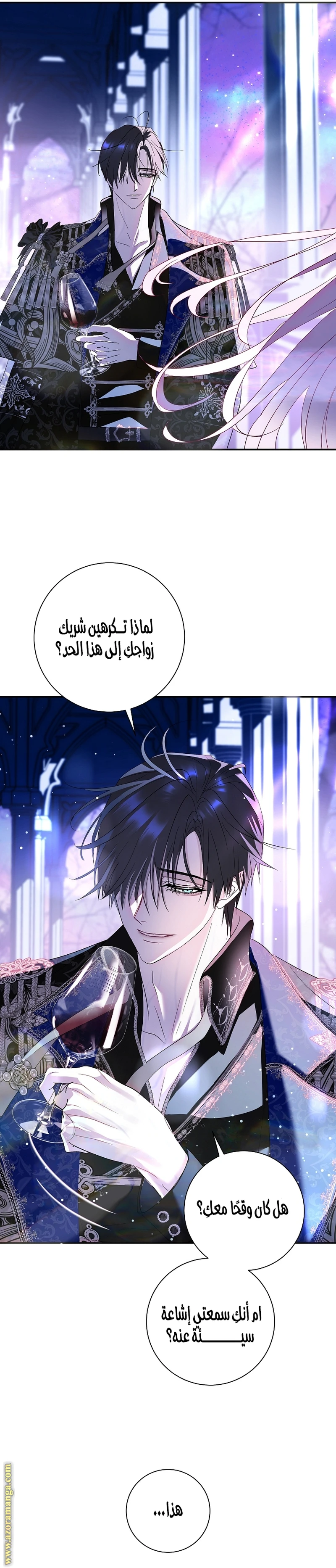 الصفحة 13
