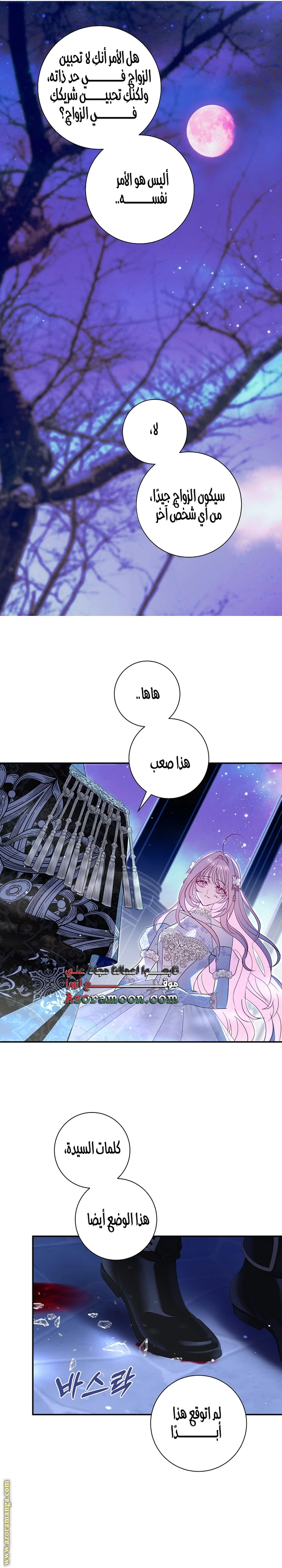 الصفحة 18