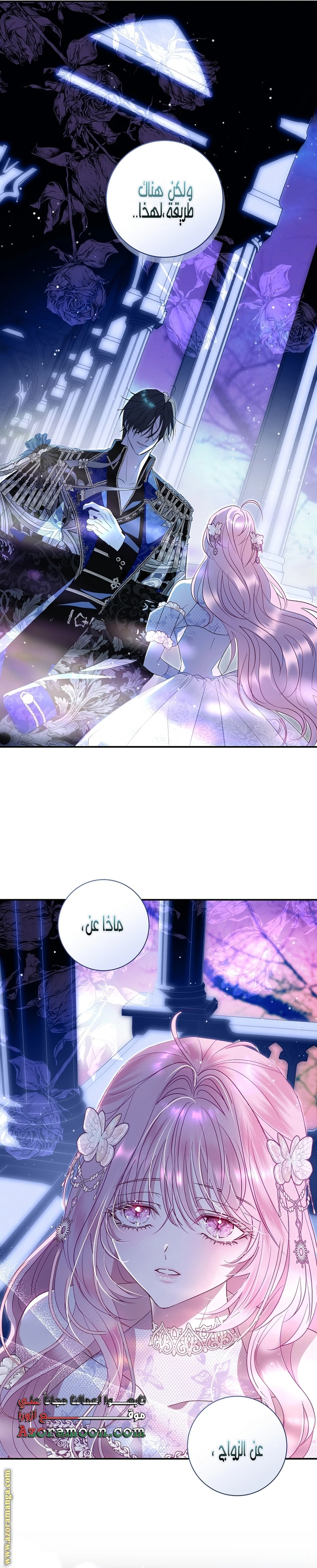 الصفحة 19