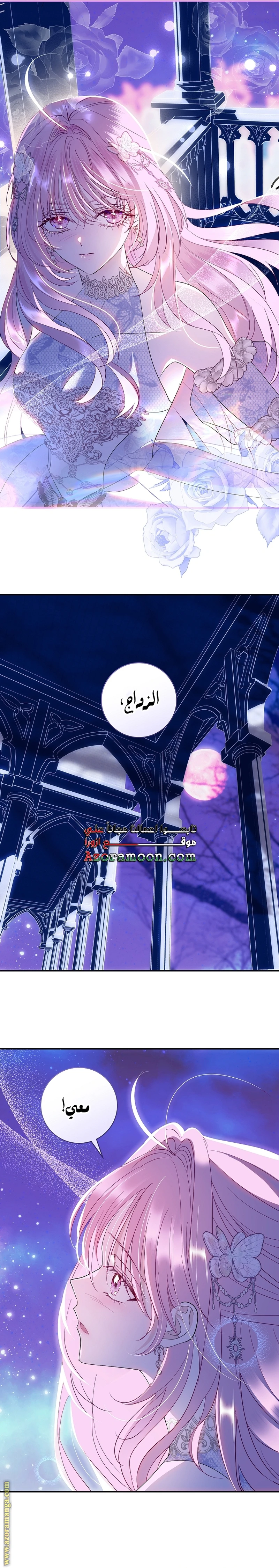 الصفحة 26