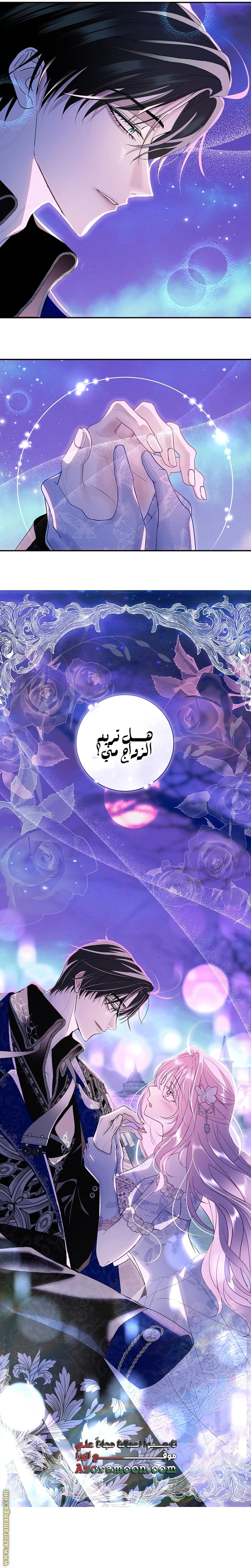 الصفحة 27