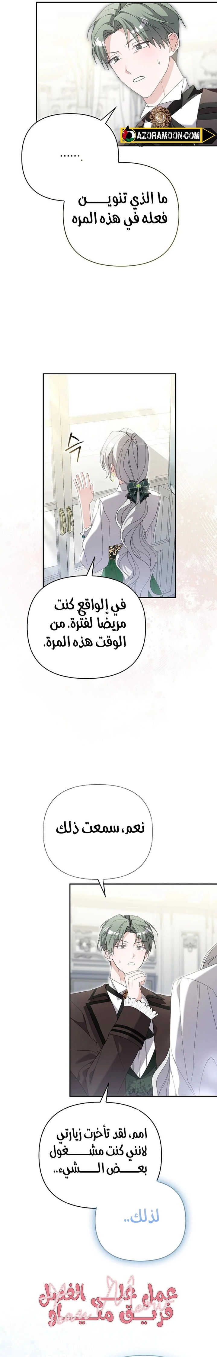 الصفحة 13