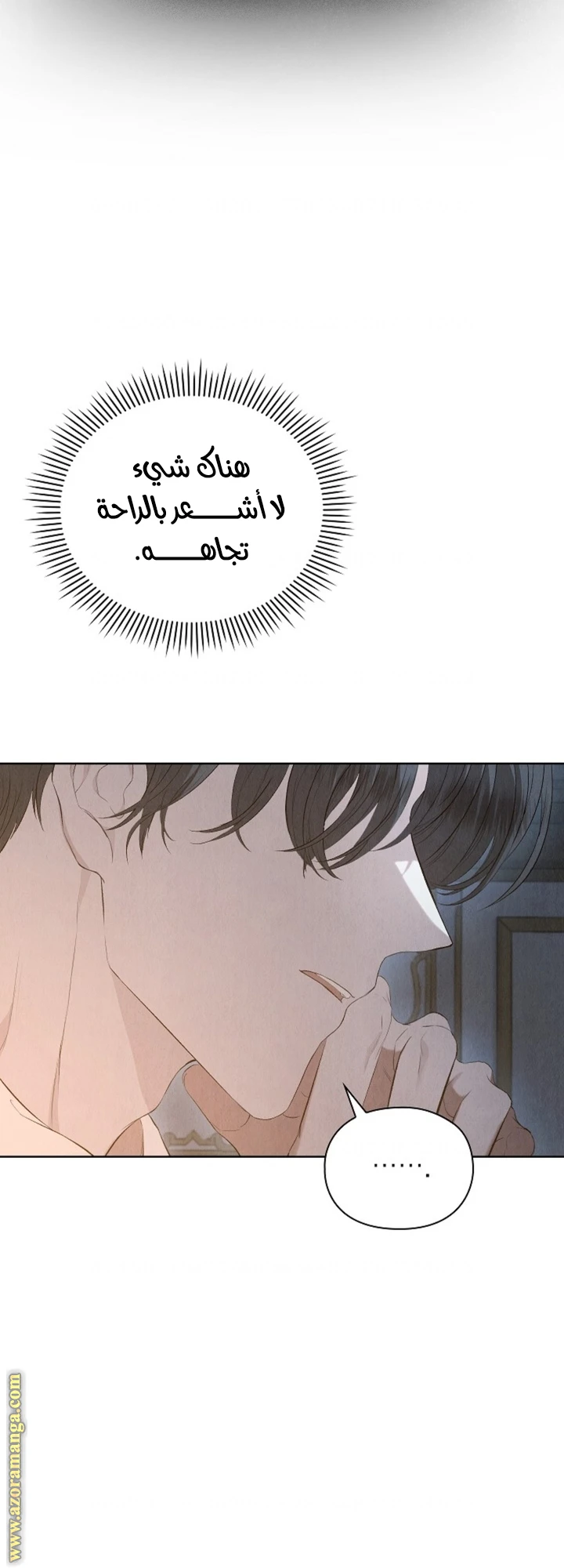 الصفحة 25