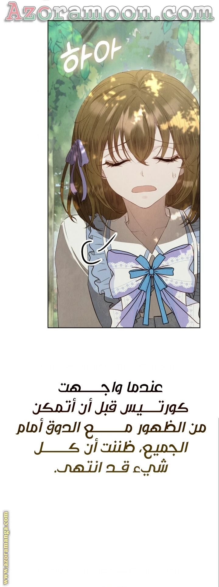 الصفحة 43