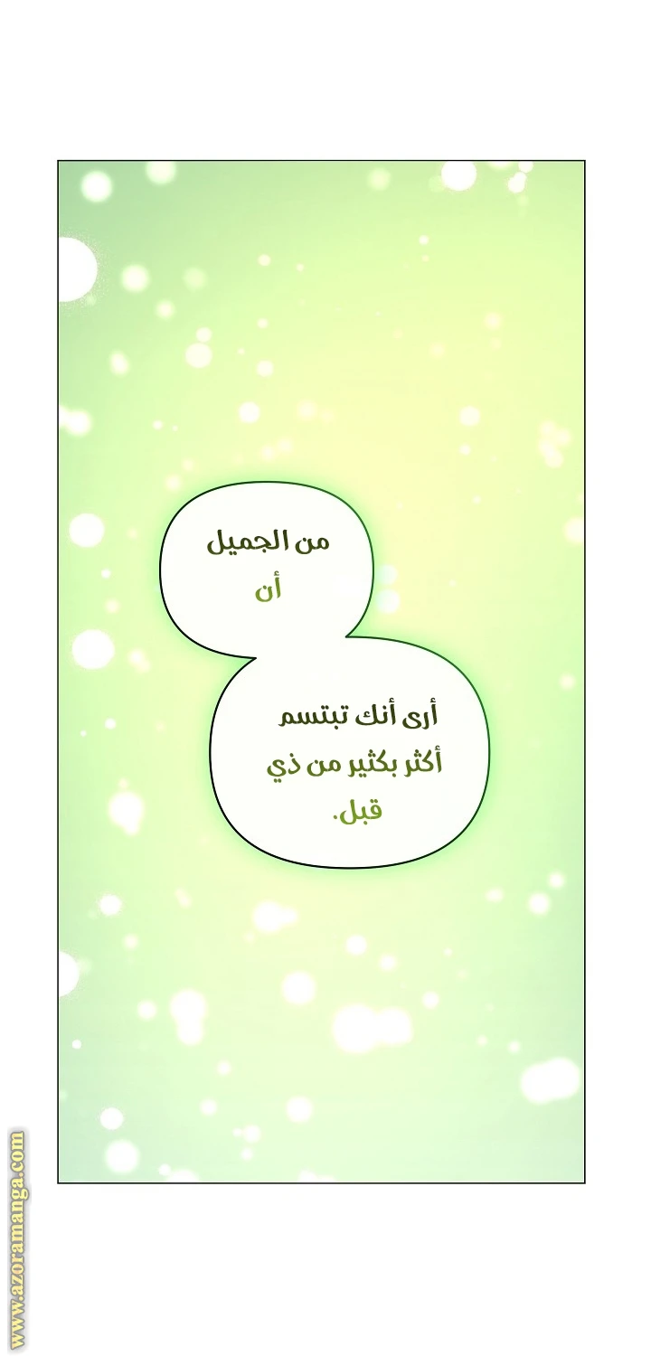 الصفحة 48