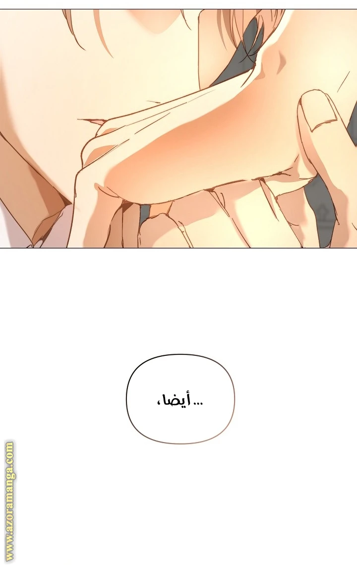 الصفحة 60