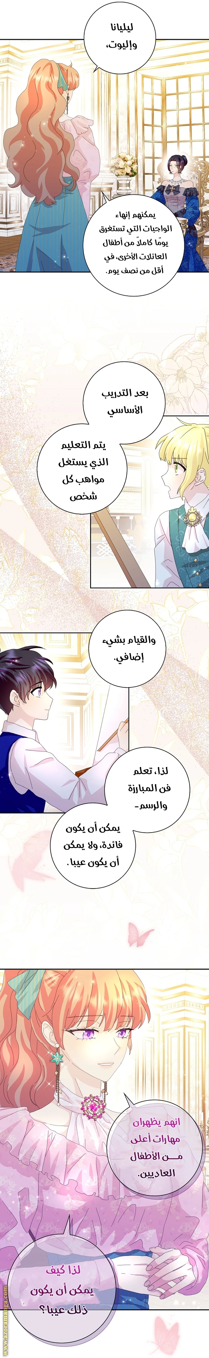الصفحة 17