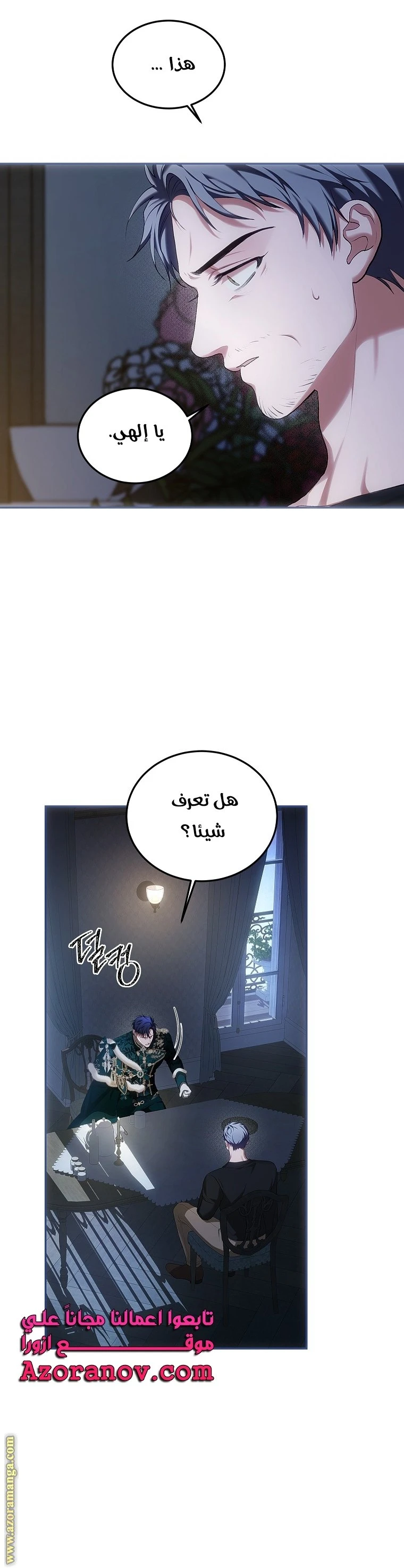 الصفحة 31