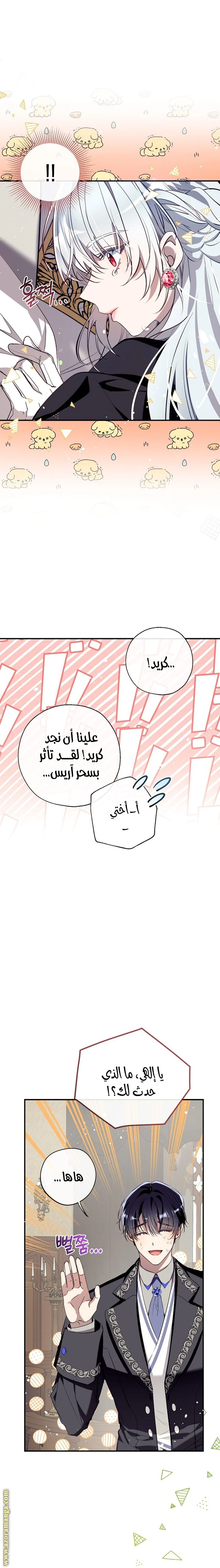 الصفحة 21