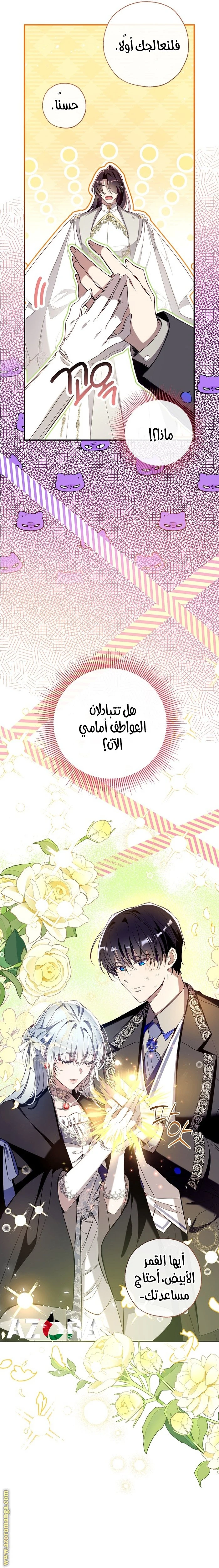 الصفحة 24