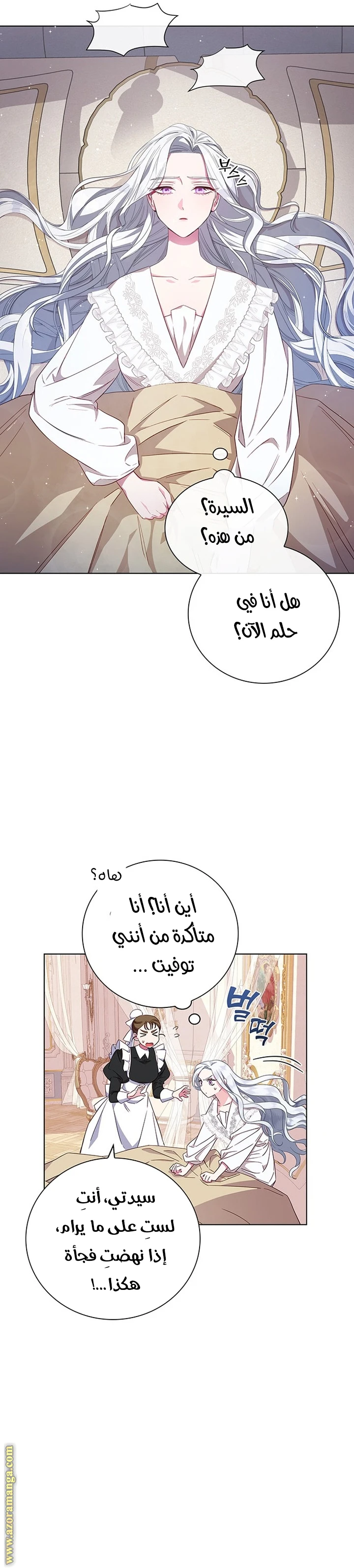 الصفحة 3