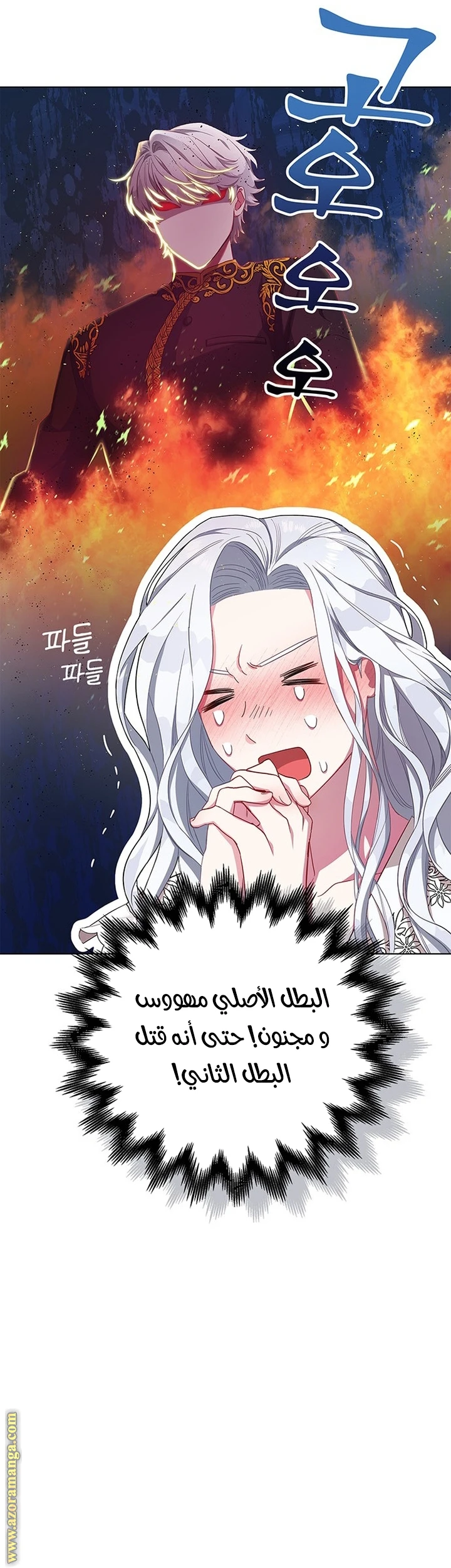 الصفحة 19