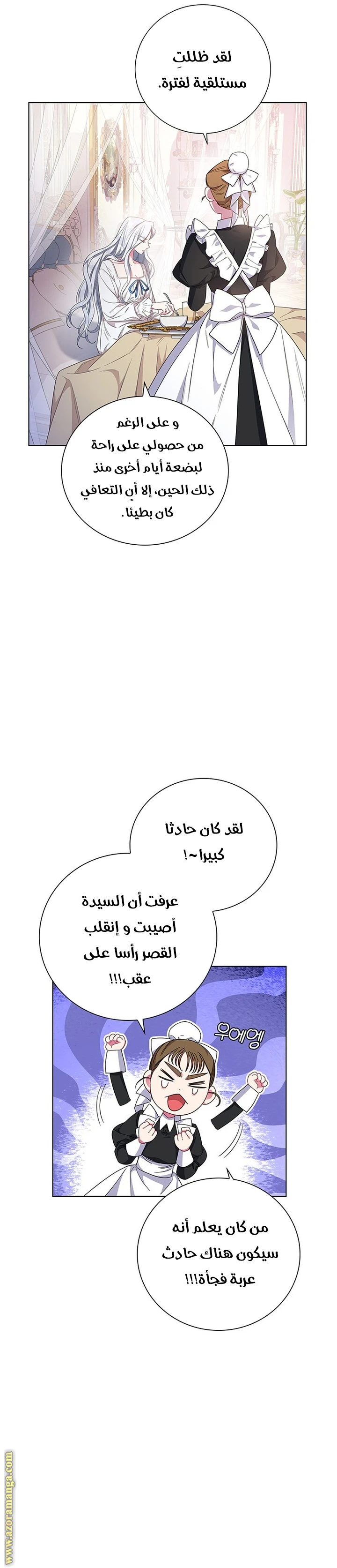الصفحة 31