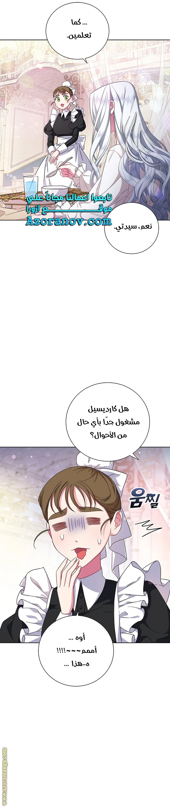 الصفحة 33