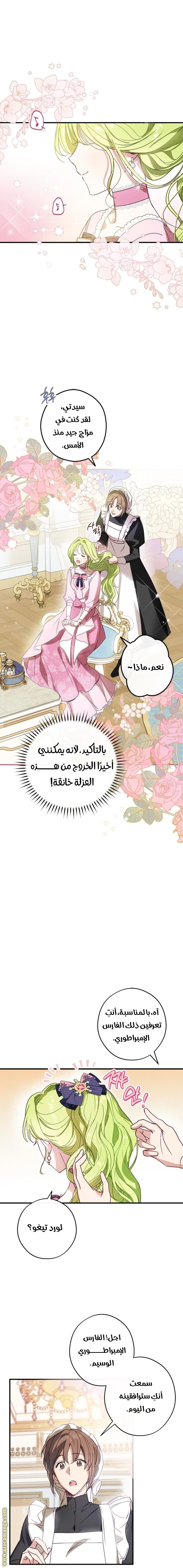 الصفحة 14