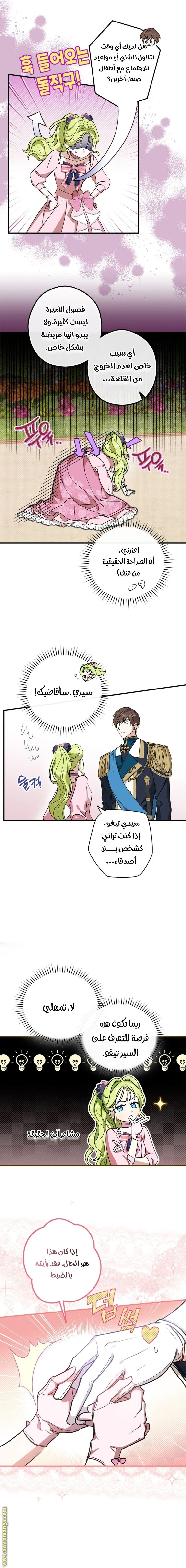 الصفحة 17