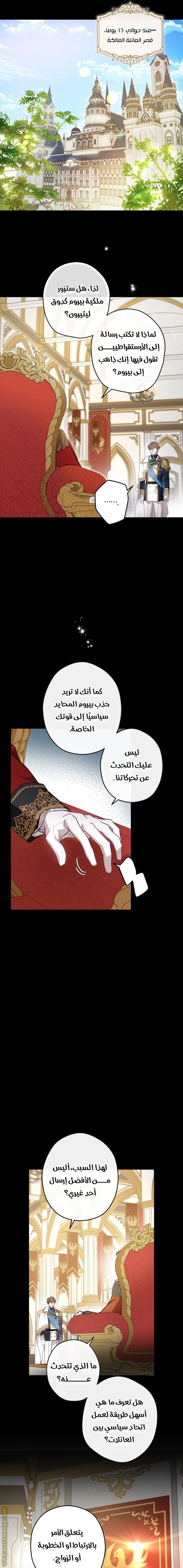 الصفحة 19
