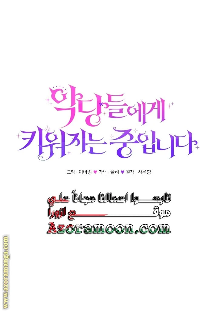 الصفحة 28