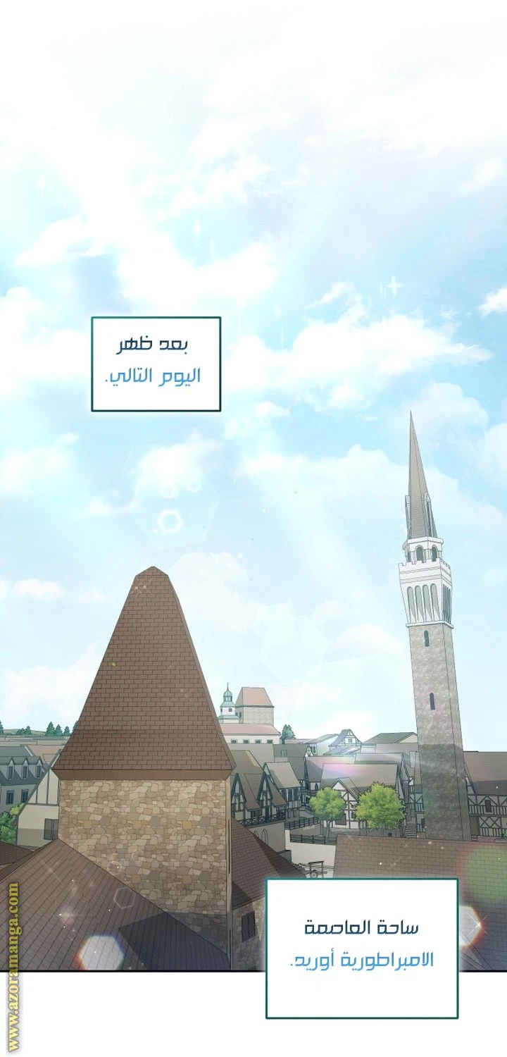 الصفحة 29