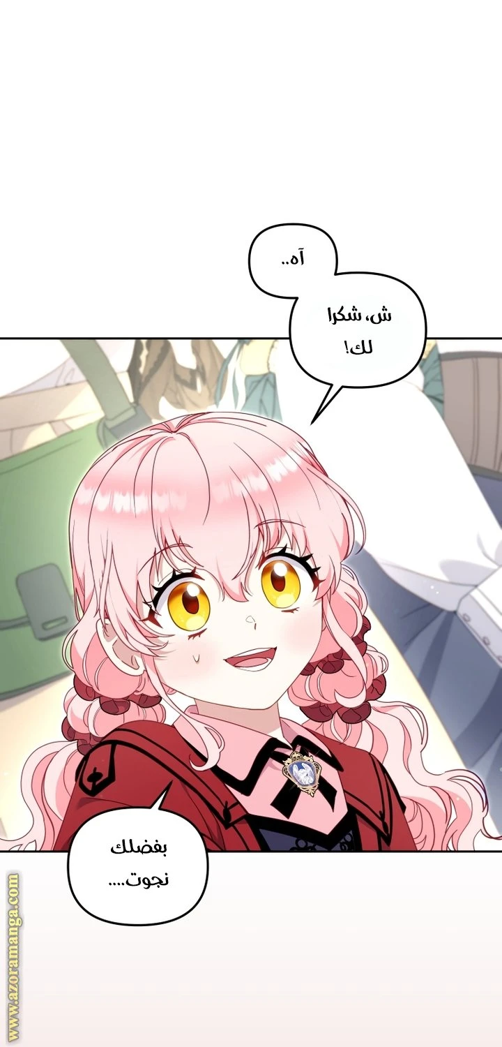 الصفحة 41