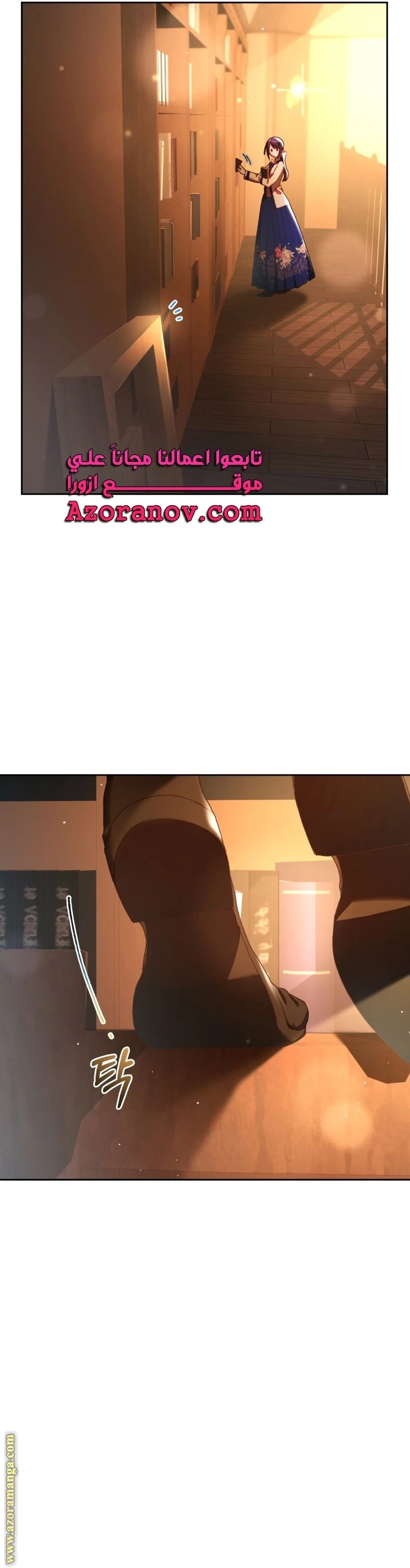 الصفحة 17