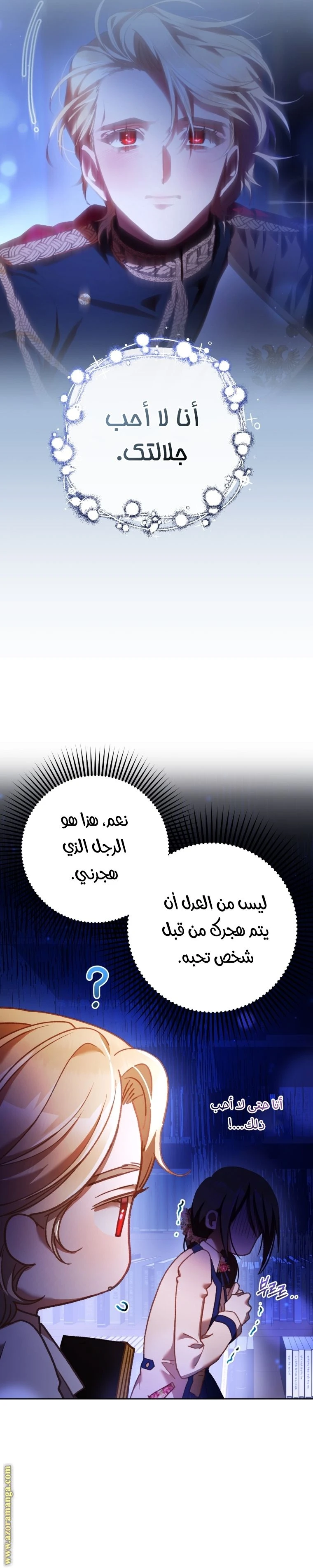 الصفحة 27