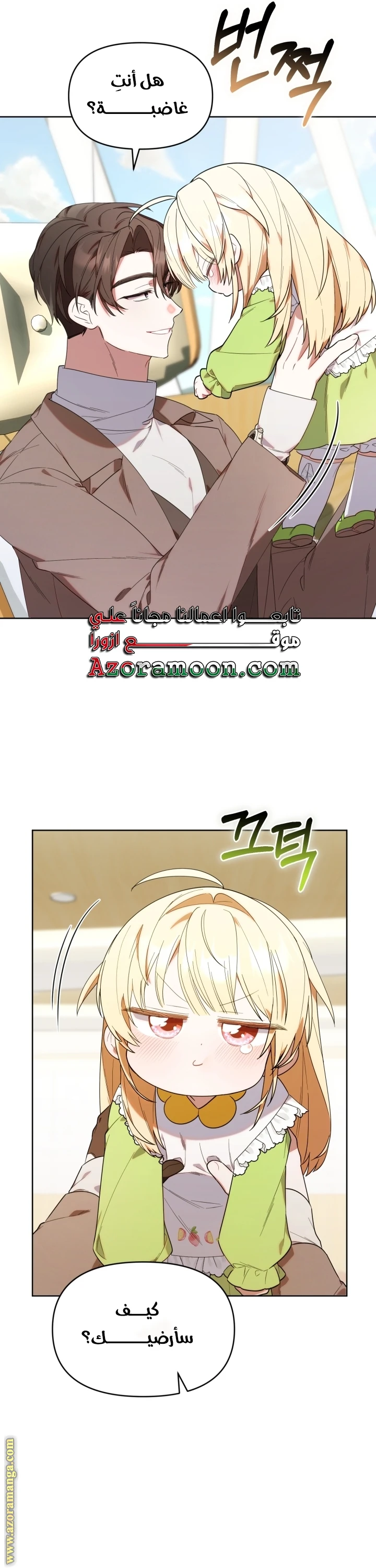 الصفحة 29