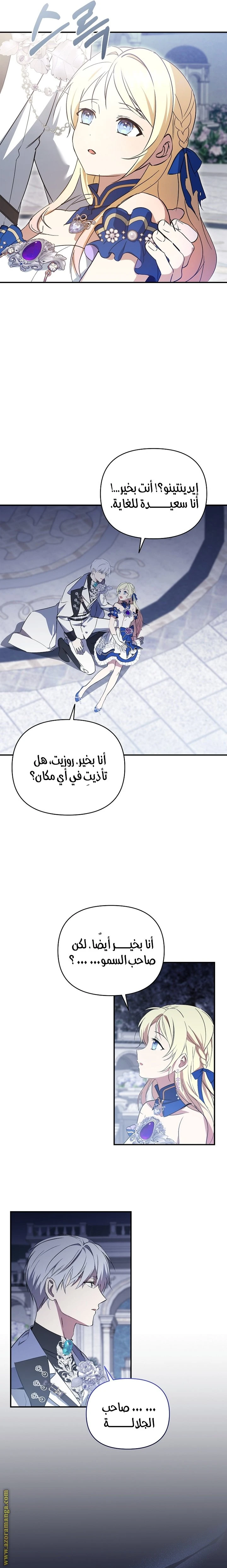 الصفحة 13