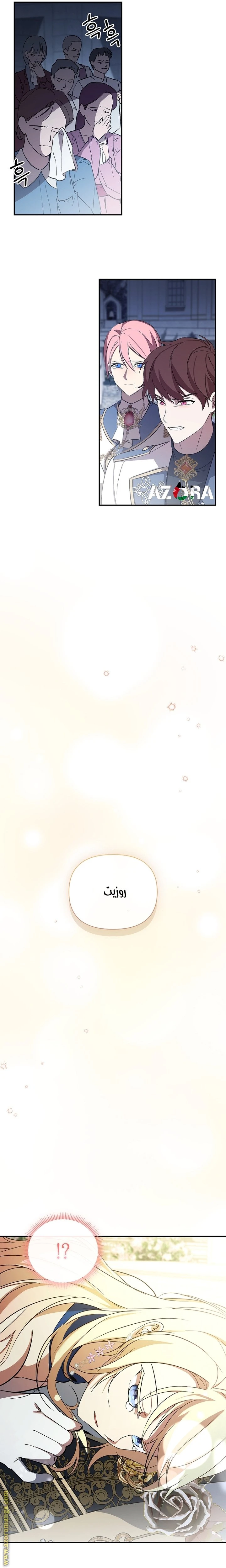 الصفحة 24