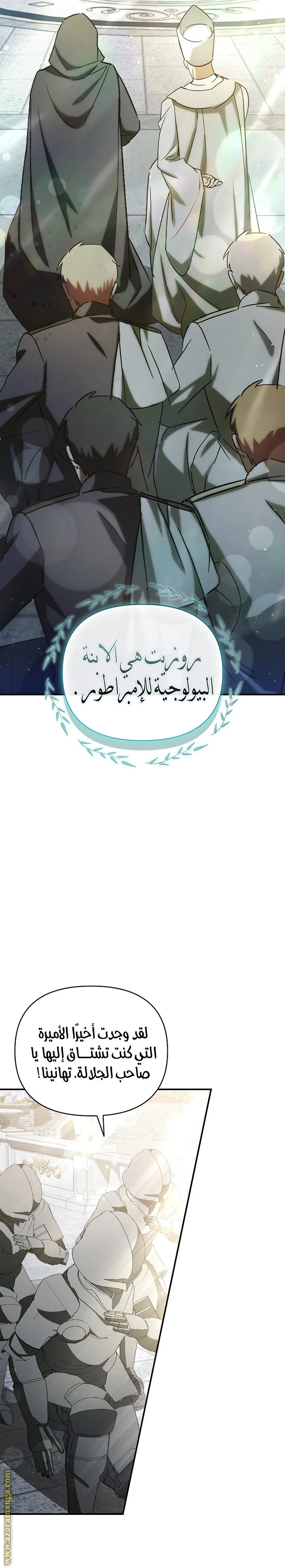 الصفحة 29