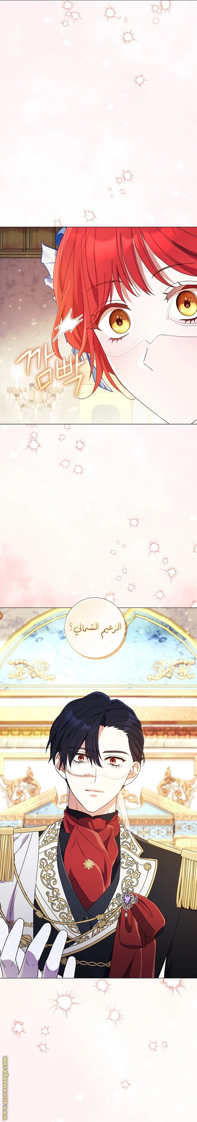 الصفحة 17