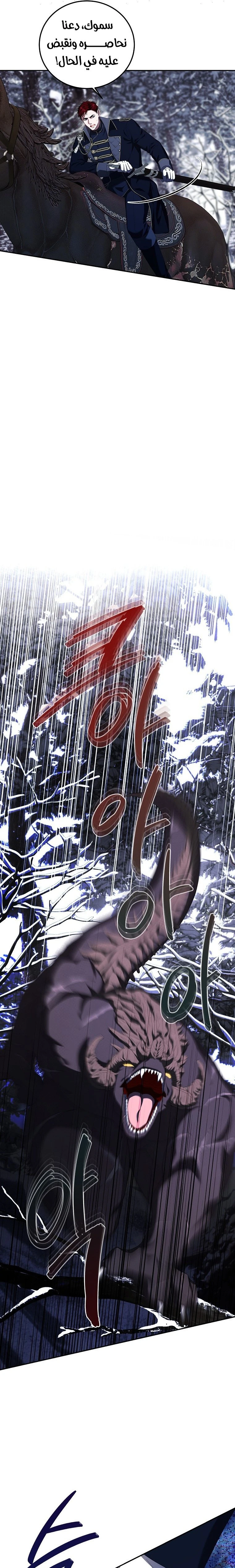 الصفحة 25