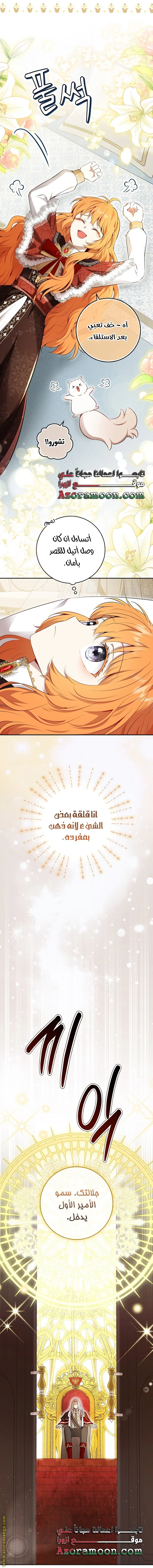 الصفحة 16