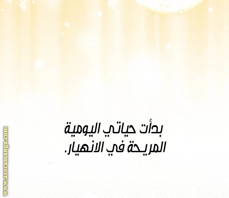 الصفحة 27