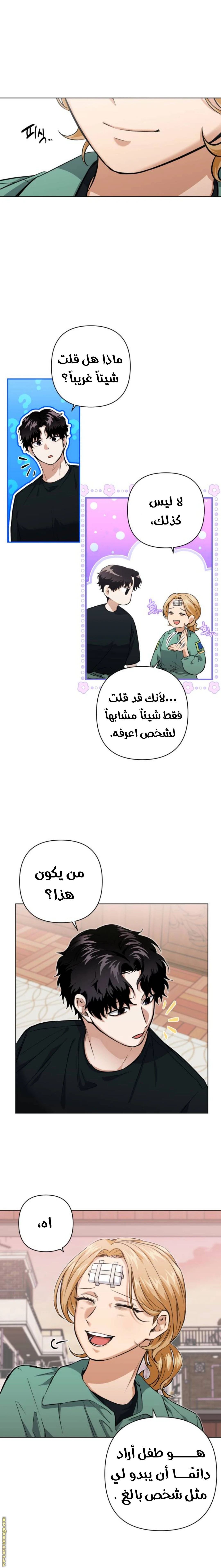 الصفحة 13