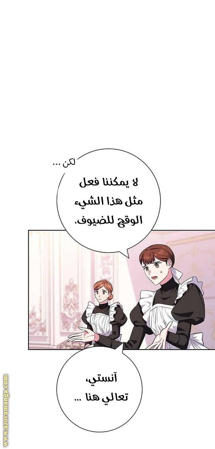 الصفحة 29