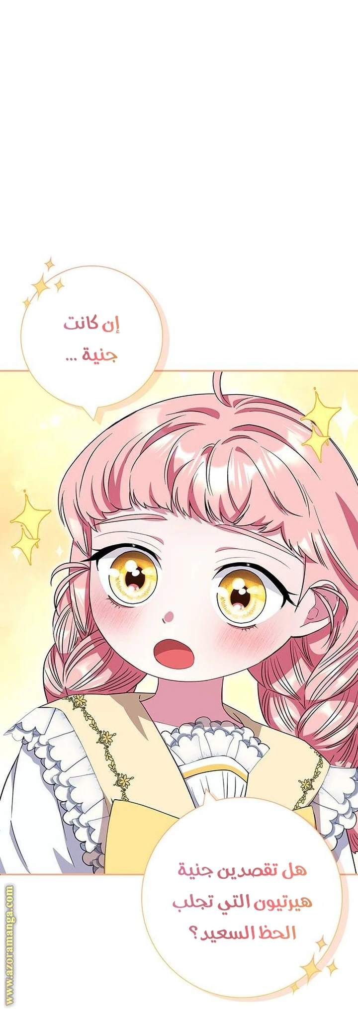 الصفحة 40