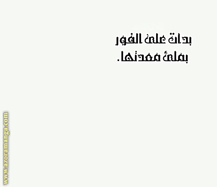 الصفحة 43