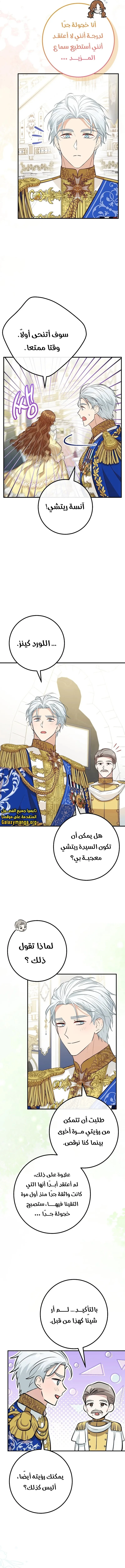 الصفحة 14