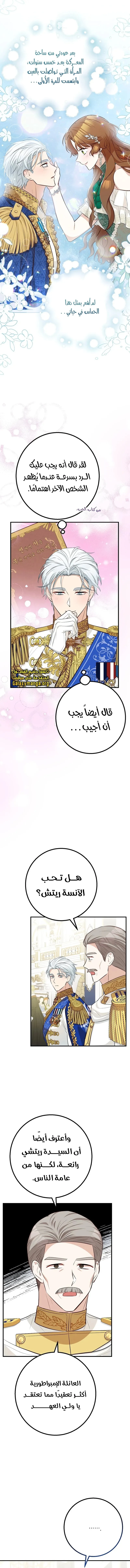 الصفحة 15