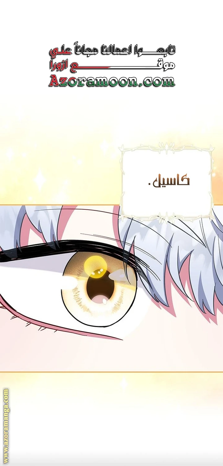 الصفحة 52